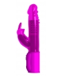 ORGASMIC RABBIT