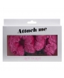 ATTACH MEMENOTTES ROSE