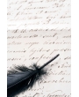 POEME - FRAISE SAUVAGE